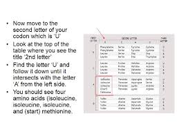How To Read A Codon Table