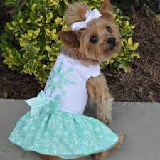 Turquoise Crystal Dog Dress With Matching Leash By Doggie Design 66886 Dog Harness Dress Dog Dresses Dog Clothes