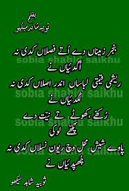 Pin By Tamseela Baby On Panjabi Suffi Portray Punjabi Poems Sufi Poetry Punjabi Poetry