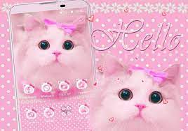  Pin Oleh Syifa Aulia Di Simpan Cepat Di 2021 Kucing Lucu Wallpaper Kucing Lucu