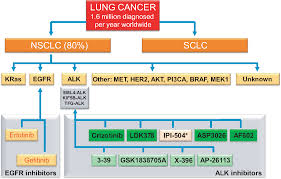 Image result for ALK Inhibitor