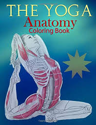 Most anatomy books are complicated, confusing, and dry. The Yoga Anatomy Coloring Book Yoga Coloring Book Press Creative Art 9781673027952 Amazon Com Books