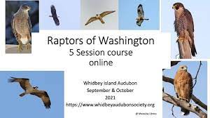 Maybe you would like to learn more about one of these? 6hkrxhu0agq 4m