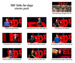 The best memes from instagram, facebook, vine, and twitter about ted ed. The Tedx Talks For Dogs Starter Pack R Starterpacks Starter Packs Know Your Meme
