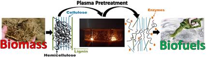 Barbara rhoades was born on march 23, 1946 in poughkeepsie, new york, usa. Plasma In Liquid Using Non Contact Electrodes A Method Of Pretreatment To Enhance The Enzymatic Hydrolysis Of Biomass Waste And Biomass Valorization X Mol