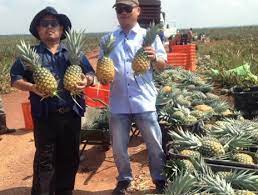Mengimplikasi pertanian 4.0 di malaysia, prt2008 pertanian dan manusia. Anim Agro Technology Kemajuan Sektor Pertanian Di Malaysia