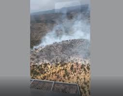 Diamond Canyon Fire in Grand County