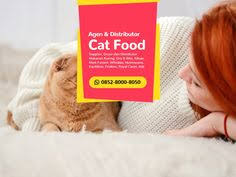 Jpw indonesia 673 views2 months ago. 13 Wa 0852 8000 8050 Harga Makanan Kucing Kiloan Ideas Cat Food Pet Shop Food Animals