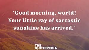 Find and save little ray of sunshine memes | from instagram, facebook, tumblr, twitter & more. 65 Funny Quotes And Memes To Share With Friends And Family The Quotepedia