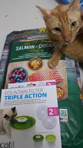 There is a ton of information about the keto lifestyle, information for beginners and other recipes there! U Passive0bserver Explains Cat Food Bestof
