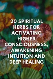 20 Spiritual Herbs For Activating Higher Consciousness And Awakening Intuition Herbal Healing Herbalism Higher Consciousness