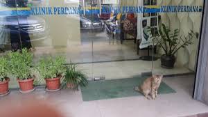 Hospital sungai buloh) is a secondary and tertiary hospital located in sungai buloh, petaling district, selangor, malaysia. Klinik Perdana Sg Buloh Home Facebook