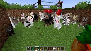 The 3 most important foods for a rabbit are hay, hay, and hay! Rabbit Official Minecraft Wiki