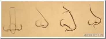 African americans for the most part do have noses that are similar to africans, but african americans are not fully african, there are great variances in the types of noses that they can have. How To Draw Different Types Of Noses