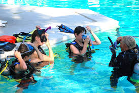 With the proper training most individuals can successfully if you're looking for a domestic location that is easy to get to, then there are many scuba diving opportunities in florida. Florida Keys Dive Instruction Serving Marathon And Big Pine Key