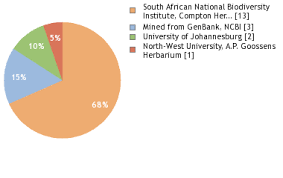 Image result for Jamesbrittenia burkeana