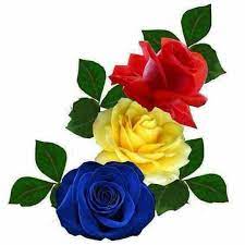 Poți afirma cu tărie că o țară este săracă atunci când cei care o conduc sunt săraci. Pin By Nicoleta Radi On La Multi Ani Romania Wallpaper Nature Flowers Flower Painting Flower Clipart