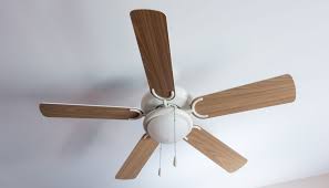 With its curving lines and dark design, this ceiling fan is beyond functional. The 7 Hottest Ceiling Fan Design Trends Of 2018 Petersen Electric