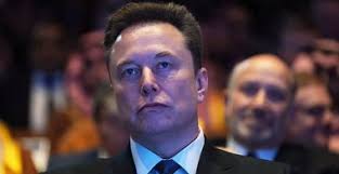 The Bear' Actor Matty Matheson Debuts Hardcore Band Pig Pen