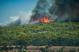 Όπως έγινε γνωστό, η πυρκαγιά ξεκίνησε από υπαίθριο χώρο και πιθανότατα οικόπεδο μέσα στον οικισμό, αλλά οι φλόγες κατευθύνθηκαν προς τον λόφο, όπου καίνε αραιή βλάστηση με πουρνάρια και λίγα πεύκα. Fwtia Sthn Keratea Libre