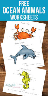 Parts Of Ocean Animals Worksheets Ocean Animals Ocean Activities Animal Worksheets