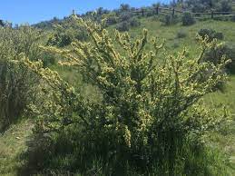 We know your numbers have a story to tell and we're here to help you write the next chapter. Stueby S Outdoor Journal Wildflowers Are Blooming Some Tips On Where To Hike And See Wildflowers In Boise