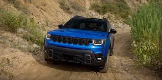 Image result for Light Blue 1987 UMM