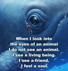 When I Look Into The Eyes Of An Animal Quote 3 I Think About This Everyday And When I See Something About Animal Cruelty I Begin To Cry Animals Feelings Spiritual Quotes