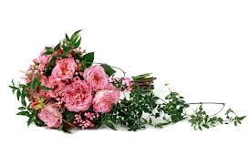 See more ideas about wedding, bouquet, wedding bouquets. Bridal Bouquets Gallery