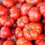 A temperature of 46 f would be warm enough for tomato seedlings. Tomato Plants And Temperature Lowest Temperature To Grow Tomatoes