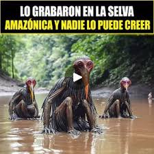 Rosalba Rendon (rosalbarendongomez)