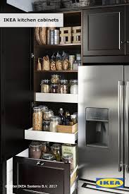 Ikea Cabinets Work And Look Smart Kitchen Cabinets That Suit You And How You Use Your Kitchen Will Save Ti New Kitchen Cabinets Kitchen Design Ikea Kitchen