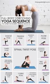 Full Body Stretching Yoga Sequence Yoga Sequences Easy Yoga Workouts Easy Yoga Poses