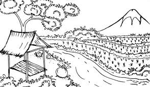 Dari mulai manfaat hingga makna suatu gambar semoga dapat dijadikan sebagai pengetahuan baru untuk anda. 70 Terbaru Sketsa Pemandangan Lautan Gambar Pemandangan