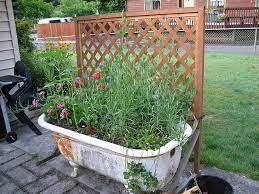 The Bathtub Planter Garden Bathtub Outdoor Tub Garden Planters