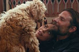 He underwent serious training for the role. Preis Fur Bradley Cooper Auf Den Hund Gekommen Panorama Stuttgarter Zeitung