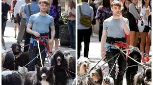 We did not find results for: And That S How Daniel Radcliffe Keeps Fans At Bay While Taking A Stroll In The City Take A Look Iwmbuzz