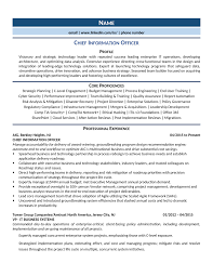 Check spelling or type a new query. Chief Information Officer Cio Resume Example Guide 2021 Zipjob