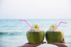 Segar Dan Nikmat Ini 5 Manfaat Minum Air Kelapa Muda Bagi Kesehatan