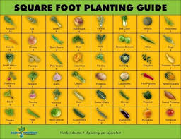Square Foot Gardening A Garden For Everyone Gartnern Auf Kleinem Raum Erhohte Beete Und Garten Grundriss