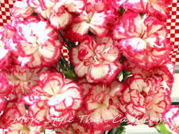 Shop our flowers for same day delivery or next day delivery. Longest Lasting Inexpensive Cut Flowers