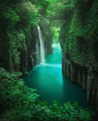 Mahmood Ali Aleskafee Twitter