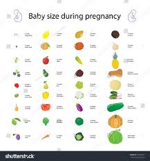67 Bright Baby Fruit Comparison