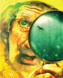 Pique Newsmagazine 3127 by Pacific Coastal Publications LP