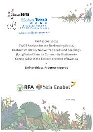 Image result for Pavetta bagshawei