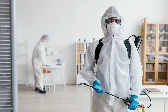Specialized Pest Inspection