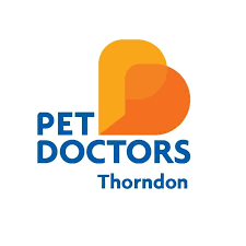 Pet Doctors Thorndon