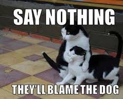 We did not find results for: 55 Funniest Cat Memes Ever Will Make You Laugh Right Meow