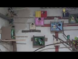 Yanlis Ucumdan Dolayi 6 Guvercinimiz Kayboldu Youtube