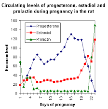 62 extraordinary pregnancy hormones graph